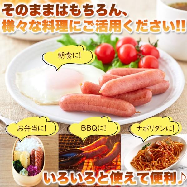 粗挽き ポーク ウインナー 冷凍 豚肉100％ 天然羊腸のパリッと食感 冷凍ポークウインナー 1kg (500g×2袋)