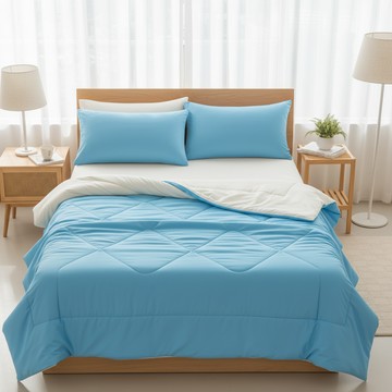 Ishur 伊舒爾 玩色雙面冰凍被 + 同款枕套3件組  冰凍被150 x 180cm + 枕套45 x 75cm  海鹽乳酪  被子 + 枕套