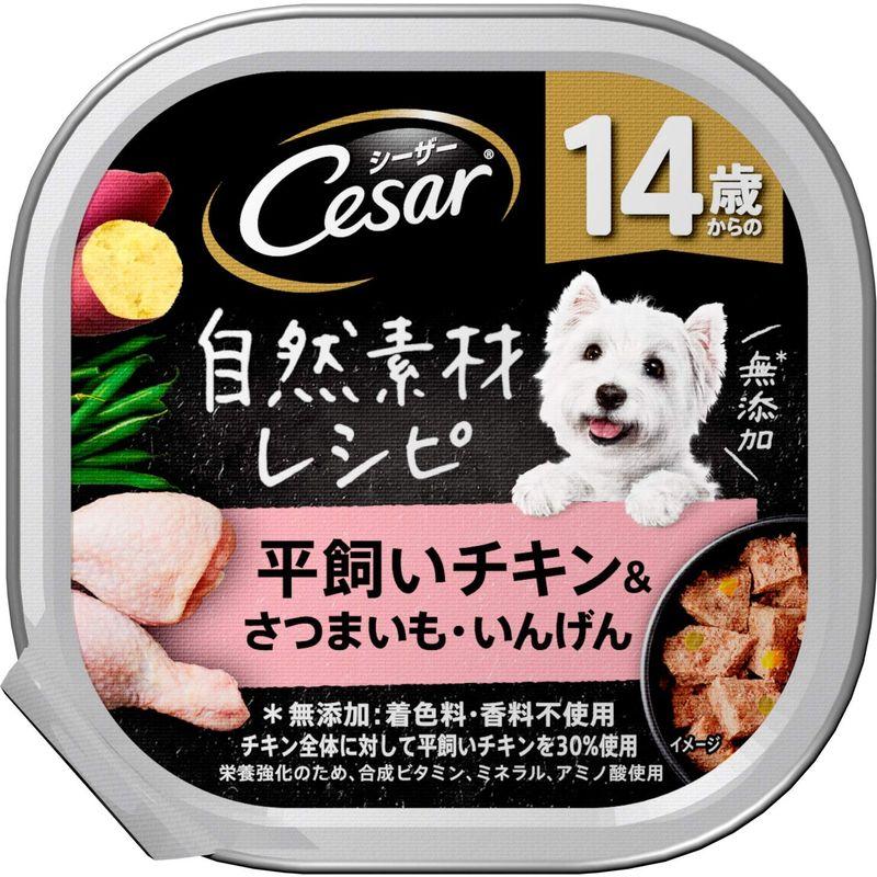 ペット フード 犬 シーザー 自然素材レシピ 平飼いチキン ＆ にんじん いんげん ８５ｇ 1ケース 28個入 ウェット