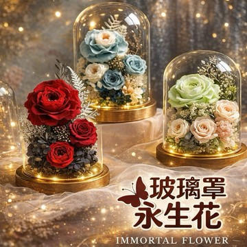 【朵菲氣球】永生花燈 玫瑰花 永生花 玻璃燈罩 乾燥花 花束 求婚 告白 情人節禮物 紀念日 送禮 畢業花束 週年