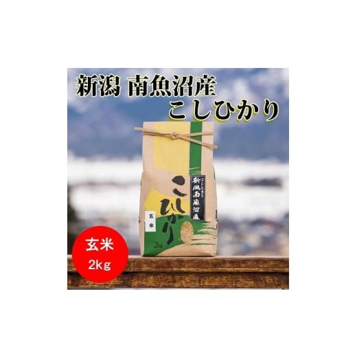 ふるさと納税 新潟県 南魚沼市 南魚沼産コシヒカリ（玄米2kg×全6回）