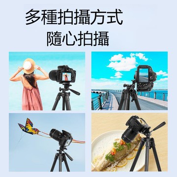 【台灣公司 可打統編】三腳架輕便攜微單反手機相機通用支架攝影相專業直播多功能三角架 m8202