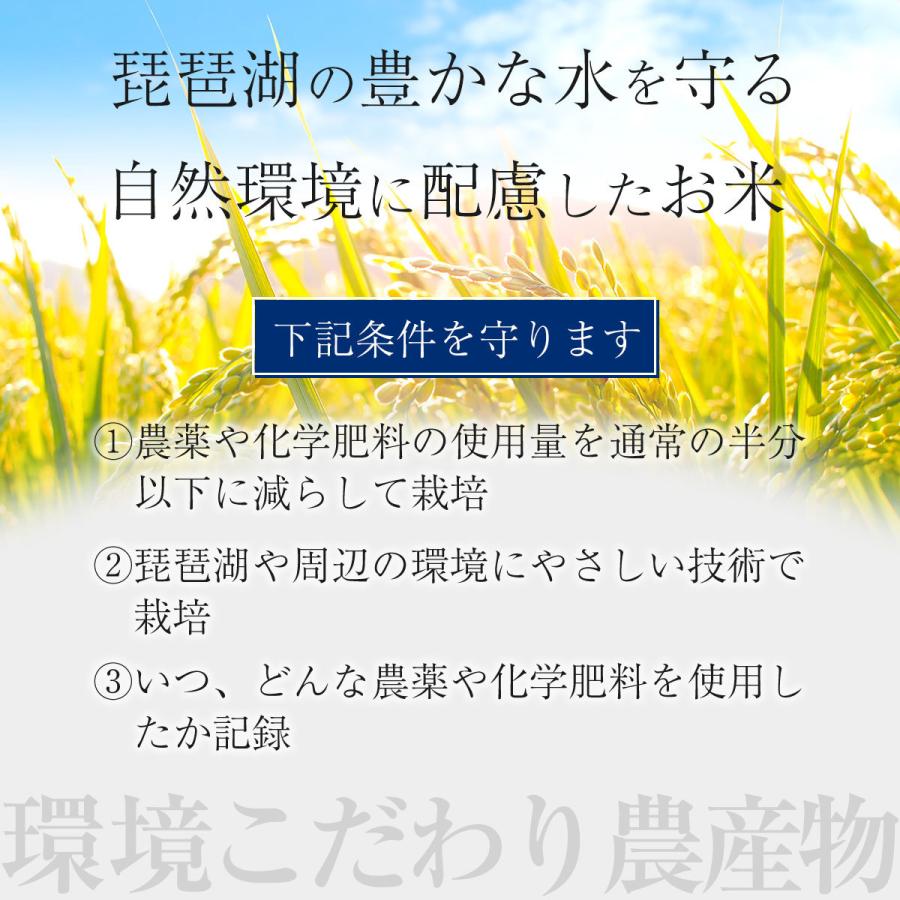 新米 みずかがみ 10kg 令和5年 送料無料 お米 白米 玄米 1等級米 10キロ 米 近江米 米10kg 農家直送 滋賀県 産地直送 即日発送