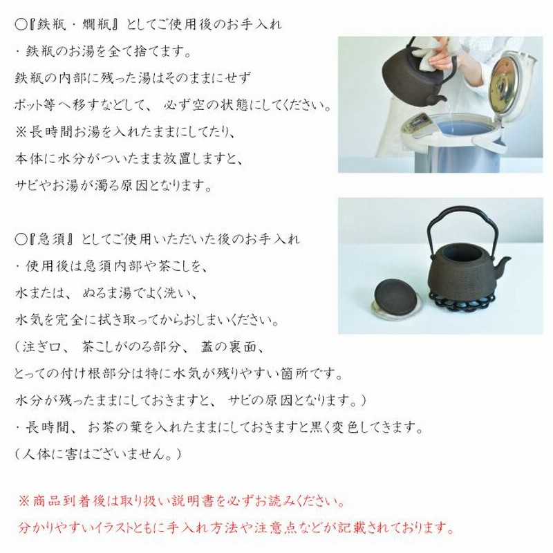 南部鉄器 岩鋳 Iwachu 鉄瓶兼用急須3型 新アラレ※ラッピング不可