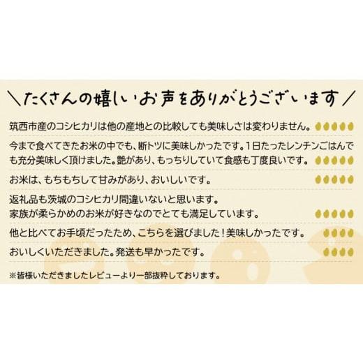 ふるさと納税 茨城県 筑西市  茨城県筑西市産 コシヒカリ10kg 米 コメ こしひかり 定期便3回 30kg …