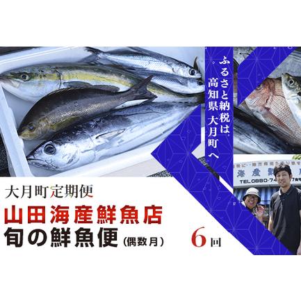 ふるさと納税 山田さんちの「旬の鮮魚便」 計6回(偶数月) 高知県大月町