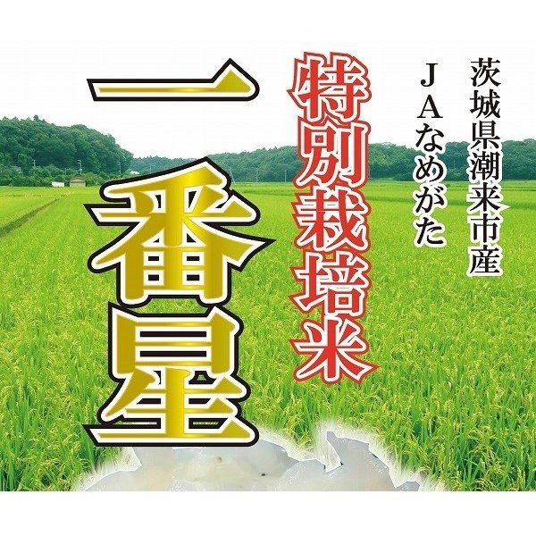 茨城県産　特別栽培米　一番星　令和5年産　白米10kg　送料無料（本州のみ）