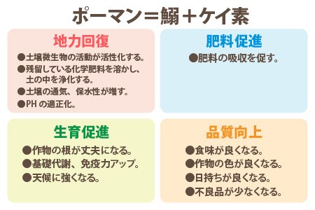 《定期便12回》特別栽培米 コシヒカリ 5kg × 12回 （計60kg） 無洗米 低農薬   福井県 あわら市 ブランド米 白米 お米 コメ 新米