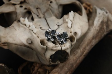 【山骸紀】汐之海I—小骸骨十字耳釘