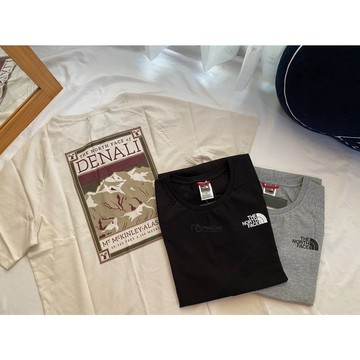 【MasCool】The North Face T-Shirt  山景 山脈 短T 短袖 北臉