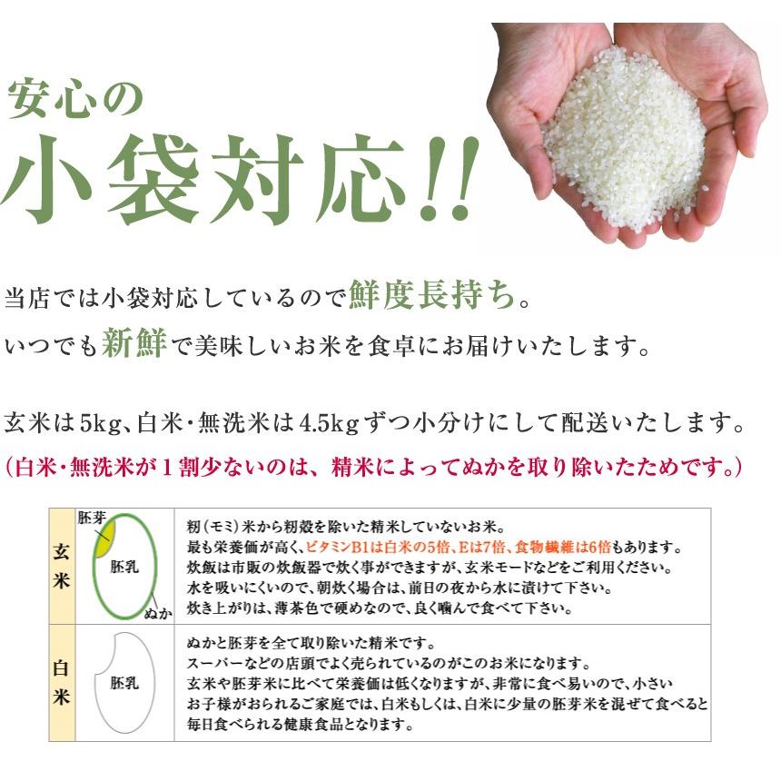 ミルキープリンセス 令和5年秋田県産 玄米10kg(精米後9kg)