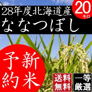 ななつぼし 20kg 白米 北海道米 北海道産 送料無料