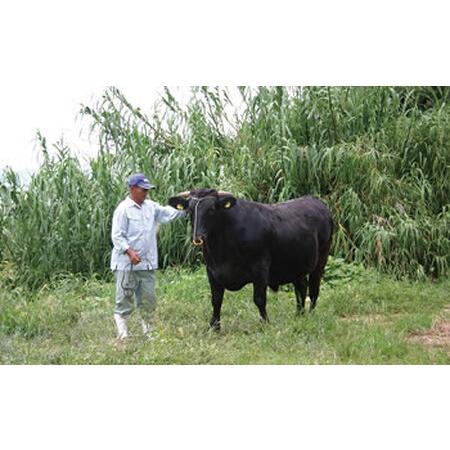 ふるさと納税 小豆島オリーブ牛ロースすき焼き＜400g＞ 香川県小豆島町