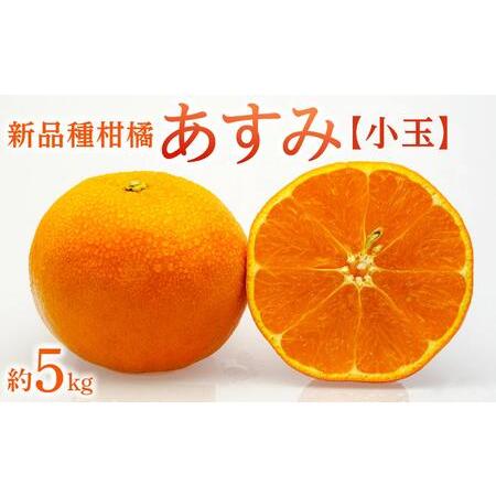 ふるさと納税 新品種柑橘「あすみ」小玉 約5kg 香川県坂出市