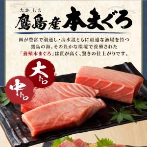 ふるさと納税 鷹島産本まぐろ まぐろ丼のたれ付き(桐箱入り) （マグロ 本マグロ 鷹島産本マグロ まぐろ 本まぐろ 鷹島産本まぐろ 鮪 本鮪 鷹島産.. 長崎県松浦市