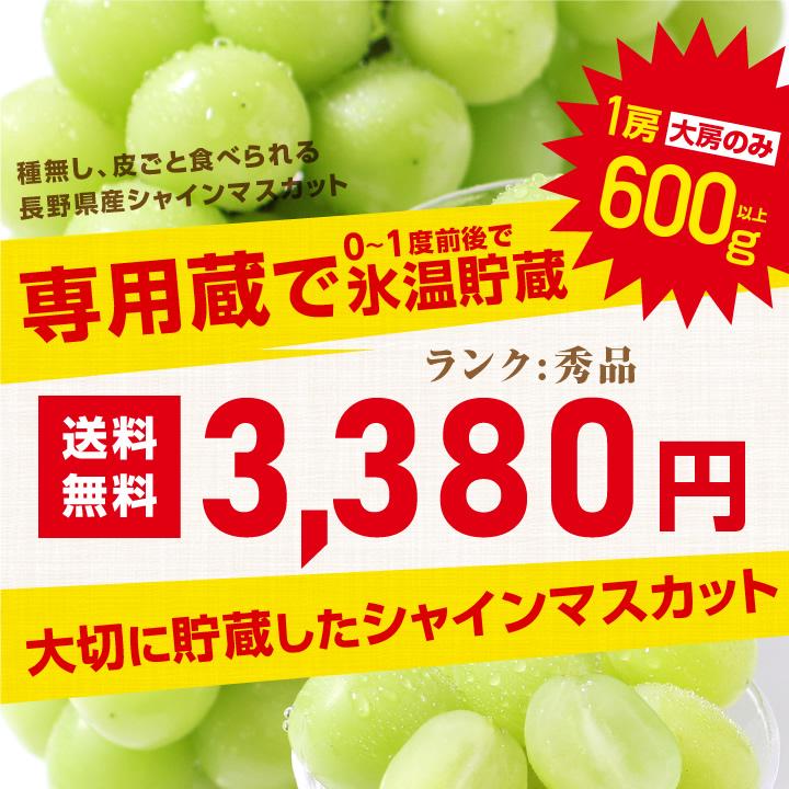 御歳暮ギフト 蔵出しシャインマスカット 秀品 1房 約600g 産地厳選 長野産 大房のみを厳選！ -S11T 送料無料 種なし 皮ごと 高糖度 大人気ぶどう