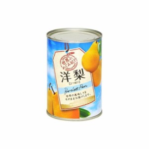  世界のめぐみ紀行 洋梨 南アフリカ産 410g x24 セット まとめ売り セット販売 お徳用 おまとめ品(代引不可)