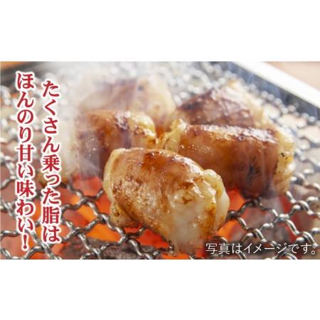 ふるさと納税 プリプリで味わい深い！ホルモン専門店の和牛丸腸600g（約3~4人前）吉野ヶ里町 三田川ホルモン専門店 焼肉 BBQ キャンプ 味付.. 佐賀県吉野ヶ里町