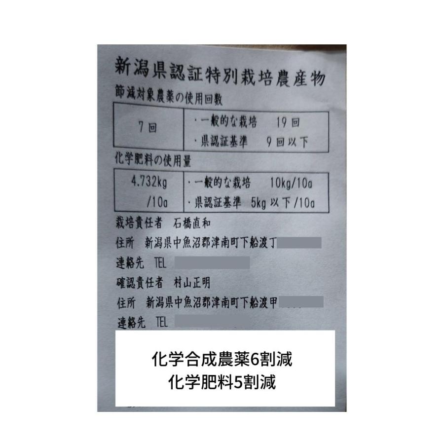 令和5年産　新米 つきあかり 魚沼産 新潟県 魚沼産 減農薬 白米 5kg 特別栽培米