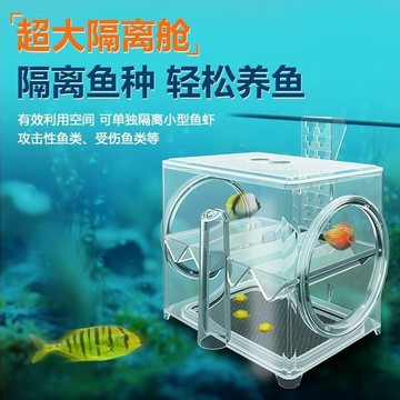 孵化盒魚缸隔離盒亞克力孔雀魚繁殖盒熱帶魚小魚孵化器產卵房