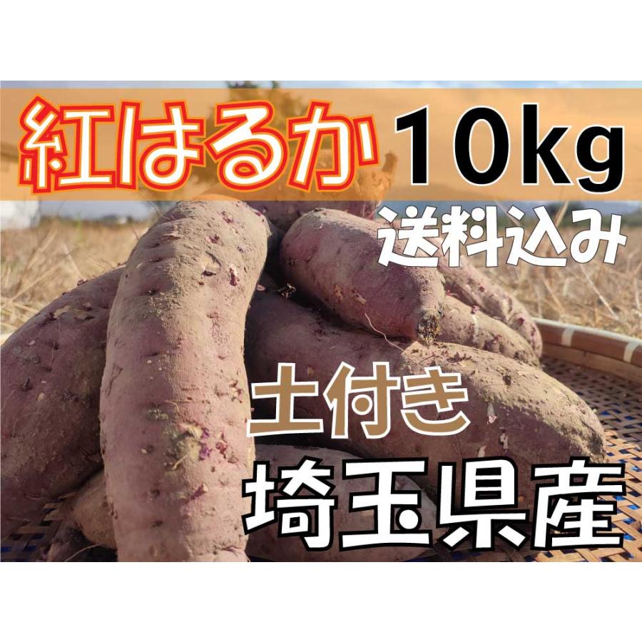 紅はるか 10kg 生芋 さつまいも 土付き　埼玉県産　べにはるか 10キロ