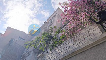 永康南附中面公園歐風大面寬孝親雙車墅37410｜台南市永康區永興路