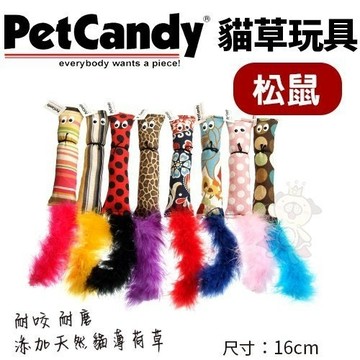 Pet Candy貓草玩具-松鼠．添加貓薄荷草 耐咬 耐磨．貓玩具．隨機出貨不挑款『寵喵樂旗艦店』