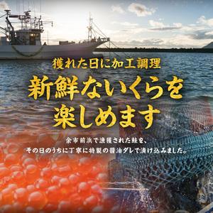 ふるさと納税 いくら醤油漬け250g×2 北海道産_Y006-0010 北海道余市町