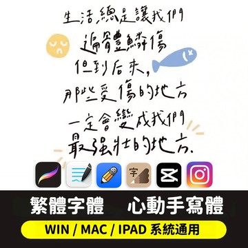 Goodnotes/procreate 台灣繁體字體 可愛手寫風字體 手機下筆/剪映