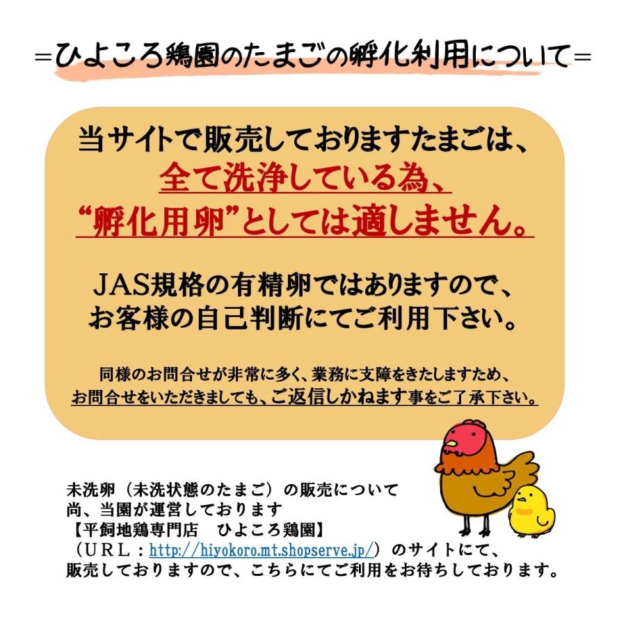 色鶏たまごセット〈烏骨鶏・軍鶏・にいがた地鶏・名古屋コーチン・おうはん〉各2個・計10個