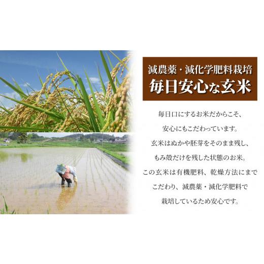 ふるさと納税 長野県 東御市 八重原産特別栽培米（減農薬・減化学肥料栽培）コシヒカリ玄米1.2kg