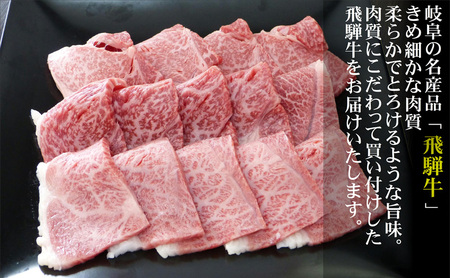 牛肉 飛騨牛 焼き肉 セット 赤身 モモ 又は カタ 300g 黒毛和牛 A5 美味しい お肉 牛 肉 和牛 焼肉 BBQ バーベキュー  