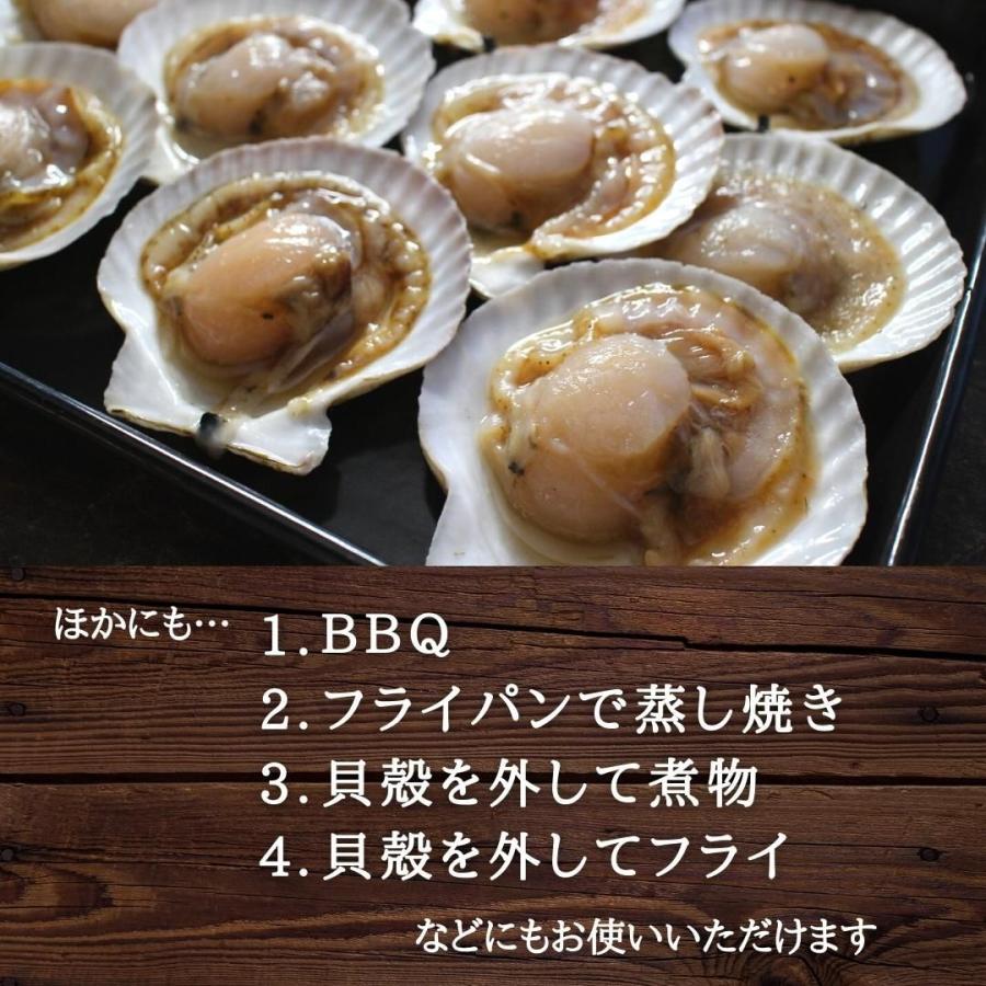 北海道産　殻付きホタテ10枚　加熱用　国産　片貝 ほたて　海鮮　BBQ