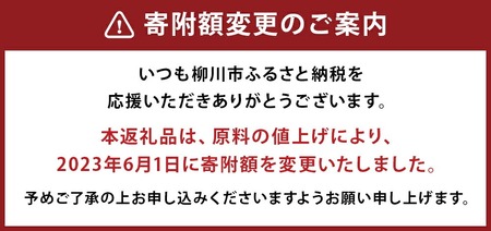 神の手仕事 焼き全形 10枚 有明のり 一番摘み 海苔