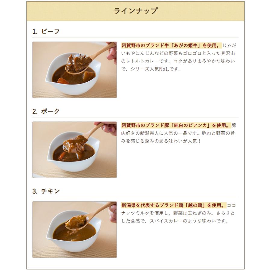 日本のこだわりおいしいカレー チキン 30個入り 惣菜 和縁 後払い決済不可 送料無料