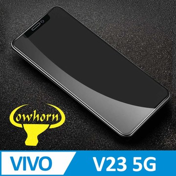 ViVO 保護貼 vivo V23 5G 2.5D曲面滿版 9H防爆鋼化玻璃保護貼 黑色