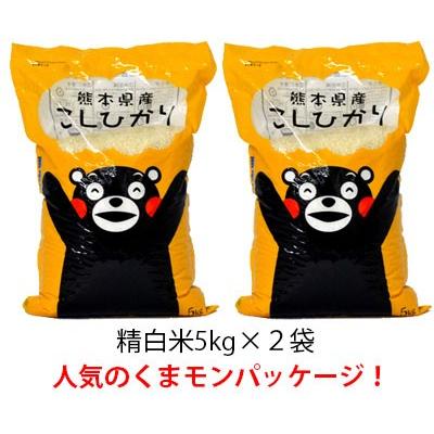 米10kg　令和4年　熊本県阿蘇産コシヒカリ精白米10kg(5kg×2袋)　くまモン　白米10kg