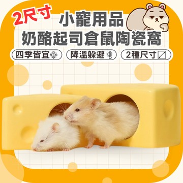 鼠鼠 奶酪起司倉鼠陶瓷窩 黃金鼠窩 倉鼠窩 倉鼠躲避屋 倉鼠降溫 倉鼠散熱 倉鼠用品 倉鼠陶瓷 熊鼠 黃金鼠用品