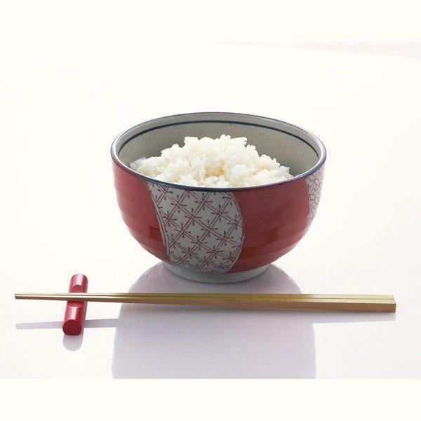 [令和5年産新米予約]日本一美味しい米を作る遠藤五一さんの無農薬特別栽培コシヒカリ（白米）５ｋｇ×12ヶ月＜年間契約＞