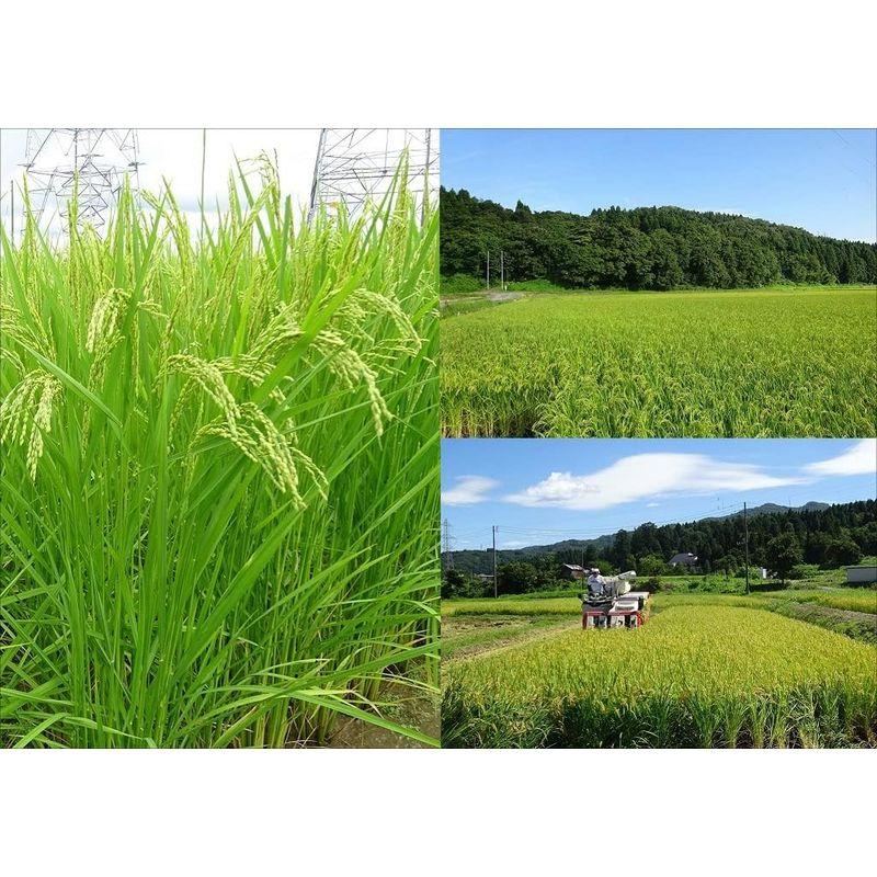 ツヤツヤもっちり系新潟県長岡産特別栽培米ミルキークイーン白米10ｋｇ(5kg×2)