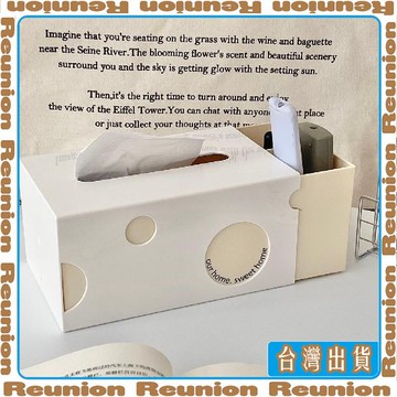 🏠臺灣出貨🏠Reunion✔創意紙巾盒家用客廳茶几遙控器收納多功能餐廳桌面輕奢臥室抽紙盒