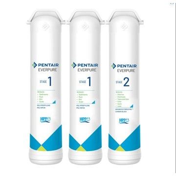 Everpure櫥下智慧型飲水器F2200專用濾心組(一年份)