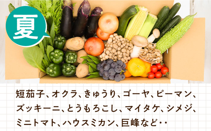 豪華！野菜 セット 15品目以上 12回 定期便   野菜 フルーツ きのこ 詰め合わせ 南島原市   吉岡青果 [SCZ019]