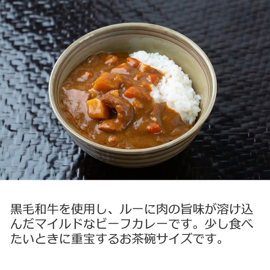 三田屋総本家 黒毛和牛の欧風ちょこっとビーフカレー（14食） レトルト お取り寄せグルメ 母の日 父の日 お中元 お歳暮 プレゼント 贈り物 お祝い 内祝い