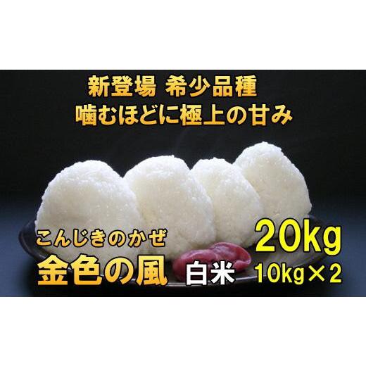 ふるさと納税 岩手県 奥州市 新登場の高級米　令和5年産　新米  岩手県奥州市産 金色の風