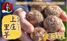 日本の美味い里芋！秋の味覚 上庄里芋 3kg[A-001047]