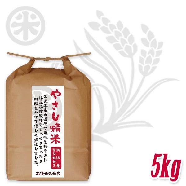 [新潟米 令和4年産] 新潟産コシヒカリ やさし精米 5kg (5kg×1袋) 低温循環精米 新潟米 お米 白米 新潟県産 こしひかり 送料無料 ギフト対応