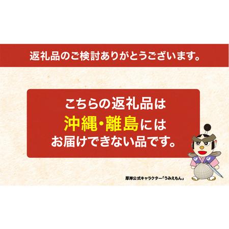 ふるさと納税 北海道 厚岸産 大鷲牡蠣 10個 北海道厚岸町