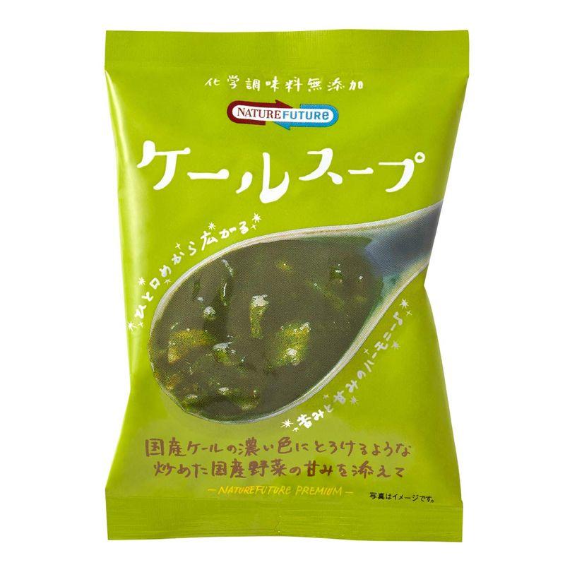 コスモス食品 Nature Future ケールスープ 10.0g ×10袋