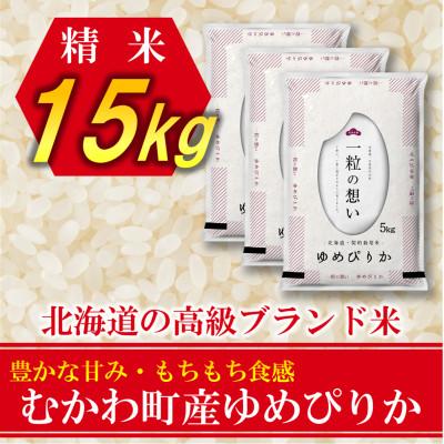 ふるさと納税 むかわ町 北海道のブランド米!北海道むかわ町産ゆめぴりか　精米15kg